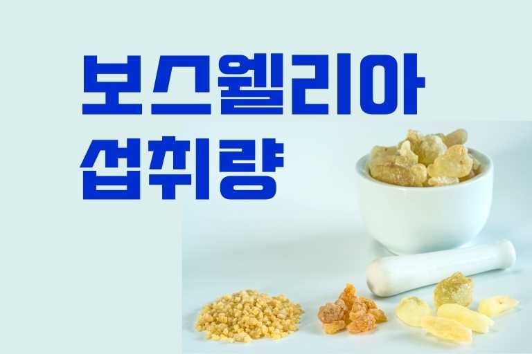 보스웰리아 1일 섭취량