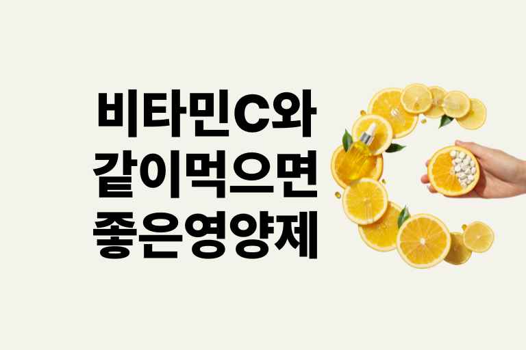 비타민c와 같이 먹으면 좋은 영양제
