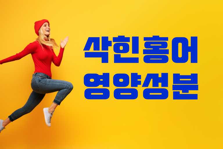 삭힌홍어의 영양성분과 칼로리, 섭취법 완전정리