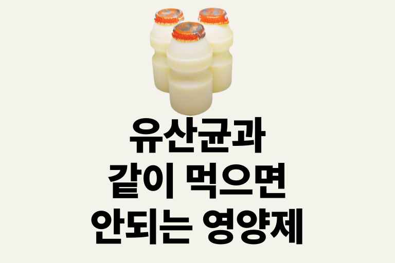 유산균과 같이 먹으면 안되는 영양제