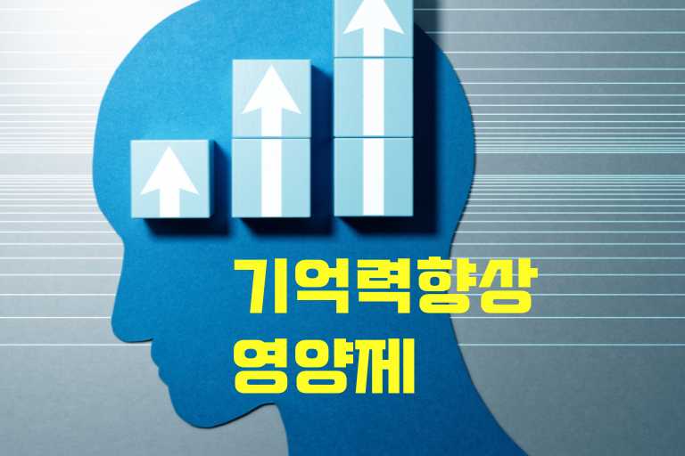기억력 향상 영양제 성분