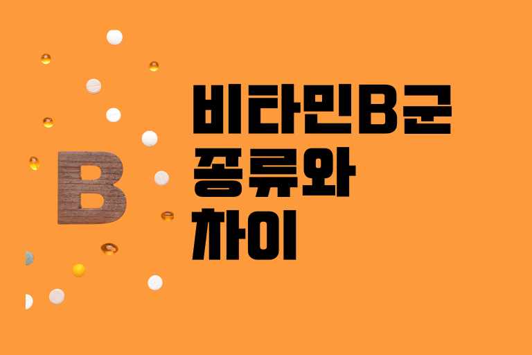 비타민B군 종류와 차이