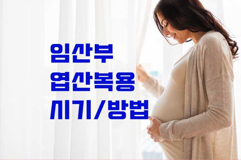 임산부 엽산 복용 시기와 방법