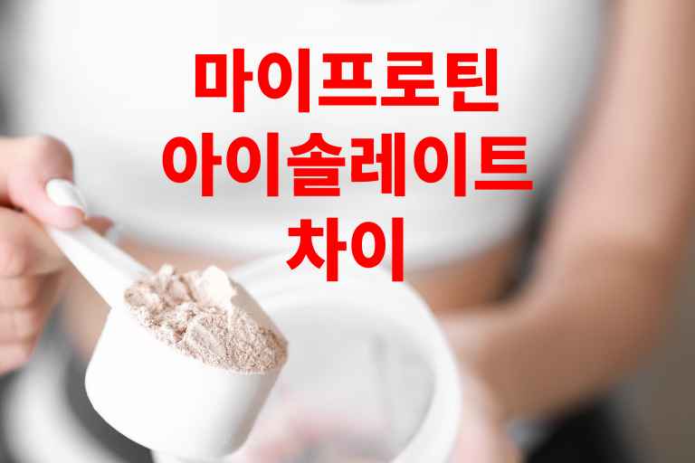 마이프로틴 아이솔레이트 차이