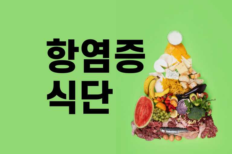 항염증 식단 구성