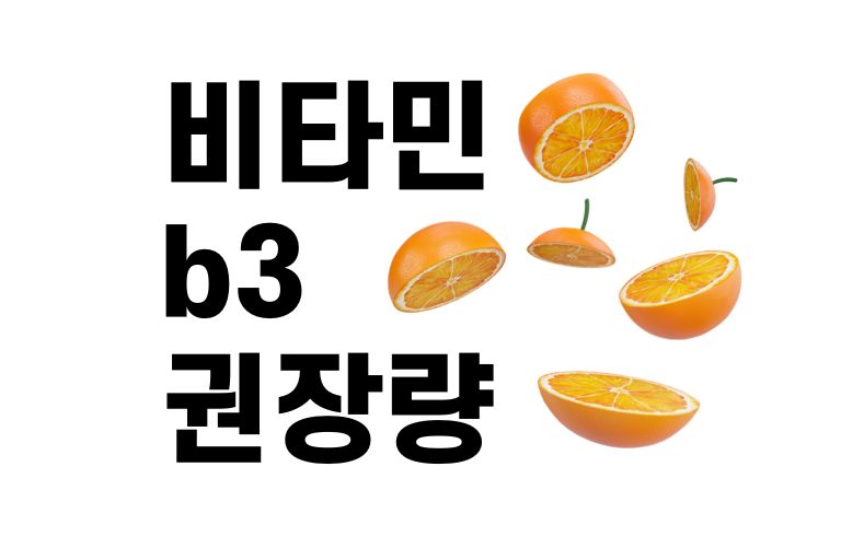 비타민 b3 권장량