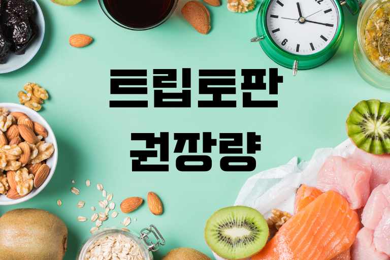 트립토판 권장량