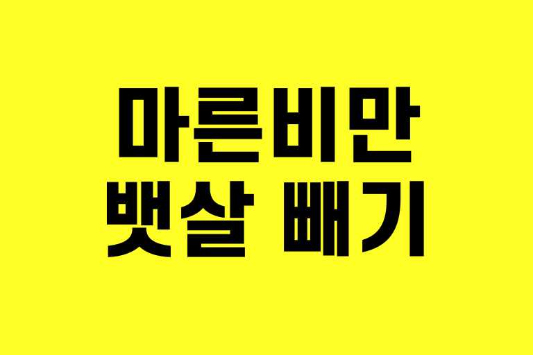 마른비만 뱃살 빼기