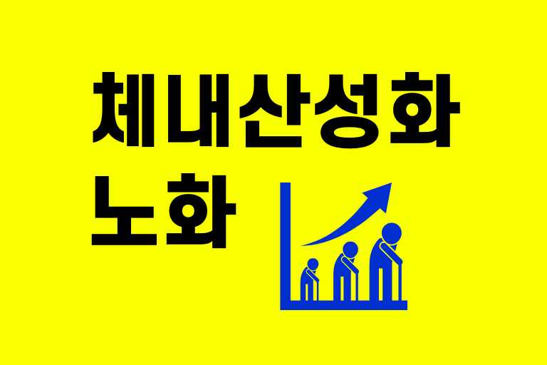 체내산성화 노화