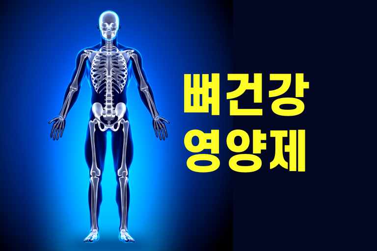 뼈건강에 좋은 영양제