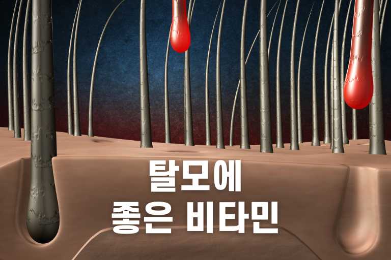탈모에 좋은 비타민