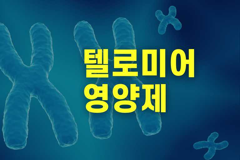 텔로미어 영양제