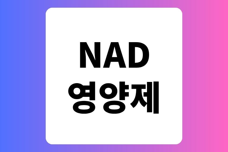 NAD 영양제