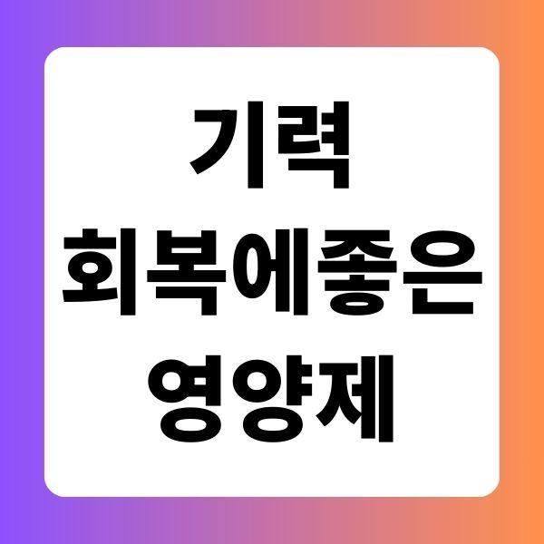 기력 회복에 좋은 영양제